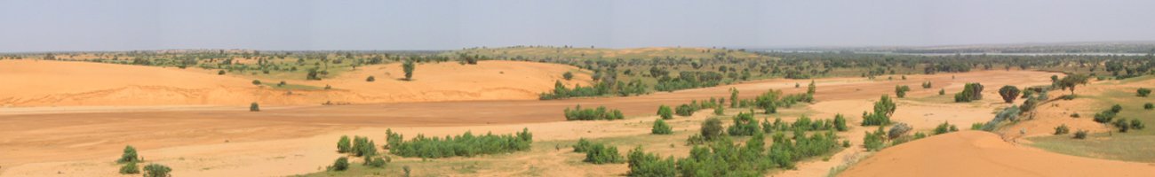 Quels sont les impacts de la dynamique de la végétation et de l'humidité du sol sur les émissions de particules minérales au Sahel ?
